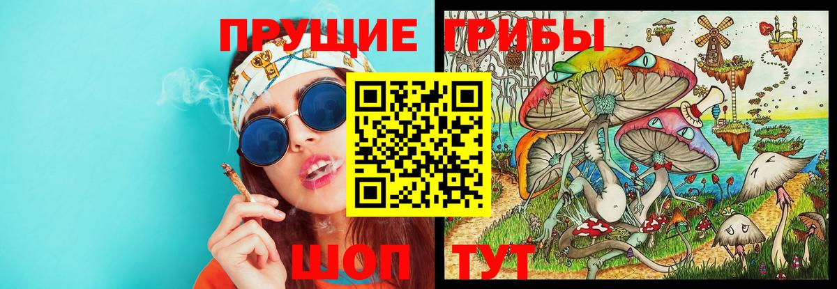 Псилоцибиновые грибы прущие грибы  Вход с VPN  Галлюциногенные грибы ЛСД  купить наркотики цена  Аша 
